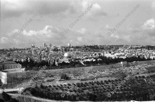 Image of sheet 19960060 photo 35: Sicht auf die Altstadt vom Ölberg, Berg Ophel.