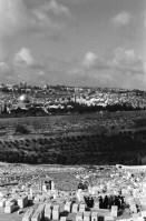 Image of sheet 19960060 photo 36: Sicht auf die Altstadt vom Ölberg, Berg Ophel. Jüdischer Friedhof mit betenden Juden und Junge mit Esel. Israel 1996