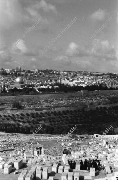 Image of sheet 19960060 photo 36: Sicht auf die Altstadt vom Ölberg, Berg Ophel. Jüdischer Friedhof mit betenden Juden und Junge mit Esel. Israel 1996