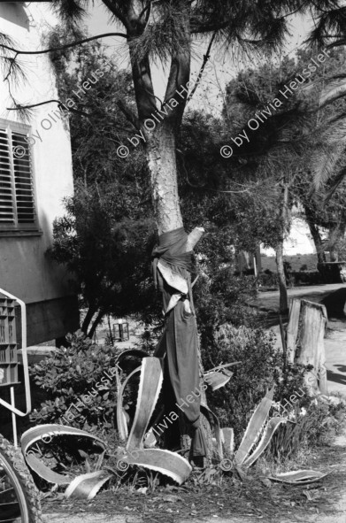 Image of sheet 19960070 photo 23: Kibbutz Maaborot. 
Ma'abarot is a kibbutz in Israel. Founded in 1932, today it has a population of approximately 850 people, and is under the jurisdiction of Hefer Valley Regional Counci