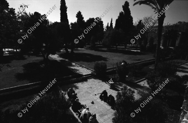 Image of sheet 19960080 photo 20: Aussicht auf Jerusalems Altstadt von der Terasse des Austrian Hospiz. Minarett Nr. 10 Felsendom 687 - 691 von dem Omaijadenkalifen Abd el Malik über dem Felsen erbaut, auf dem Abraham angeblich seinen Sohn Isaak opfern wollte, über dem Salomo den ersten jüdischen Tempel errichtete und von dem Mohammed für eine Naht in den Himmel ritt. 1956 bis 1964 völlig restauriert. Religiöse Touristen mit Holzkreuz. King Salomon Street. Israel Jerusalem
Die al-Aqsa-Moschee (‏المسجد الأقصى‎ al-masdschid al-aqsa, DMG al-masǧid al-aqṣā, ‚die ferne Kultstätte‘) ist eine Moschee auf dem Tempelberg in der Jerusalemer Altstadt. Sie gilt als drittwichtigste Moschee des Islams nach der al-Haram-Moschee mit dem zentralen Heiligtum der Kaaba in Mekka und der Prophetenmoschee mit dem Grab des Propheten Mohammed in Medina