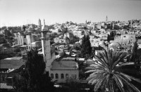 Image of sheet 19960080 photo 9: Aussicht auf Jerusalems Altstadt von der Terasse des Austrian Hospiz. Minarett Nr. 10 Felsendom 687 - 691 von dem Omaijadenkalifen Abd el Malik über dem Felsen erbaut, auf dem Abraham angeblich seinen Sohn Isaak opfern wollte, über dem Salomo den ersten jüdischen Tempel errichtete und von dem Mohammed für eine Naht in den Himmel ritt. 1956 bis 1964 völlig restauriert. Religiöse Touristen mit Holzkreuz. King Salomon Street. Israel Jerusalem
Die al-Aqsa-Moschee (‏المسجد الأقصى‎ al-masdschid al-aqsa, DMG al-masǧid al-aqṣā, ‚die ferne Kultstätte‘) ist eine Moschee auf dem Tempelberg in der Jerusalemer Altstadt. Sie gilt als drittwichtigste Moschee des Islams nach der al-Haram-Moschee mit dem zentralen Heiligtum der Kaaba in Mekka und der Prophetenmoschee mit dem Grab des Propheten Mohammed in Medina