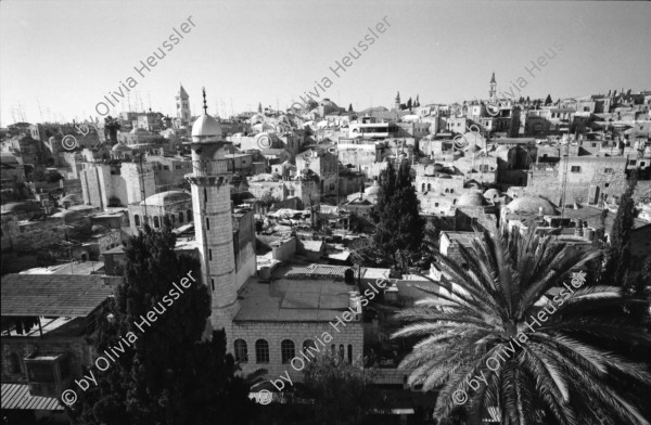 Image of sheet 19960080 photo 9: Aussicht auf Jerusalems Altstadt von der Terasse des Austrian Hospiz. Minarett Nr. 10 Felsendom 687 - 691 von dem Omaijadenkalifen Abd el Malik über dem Felsen erbaut, auf dem Abraham angeblich seinen Sohn Isaak opfern wollte, über dem Salomo den ersten jüdischen Tempel errichtete und von dem Mohammed für eine Naht in den Himmel ritt. 1956 bis 1964 völlig restauriert. Religiöse Touristen mit Holzkreuz. King Salomon Street. Israel Jerusalem
Die al-Aqsa-Moschee (‏المسجد الأقصى‎ al-masdschid al-aqsa, DMG al-masǧid al-aqṣā, ‚die ferne Kultstätte‘) ist eine Moschee auf dem Tempelberg in der Jerusalemer Altstadt. Sie gilt als drittwichtigste Moschee des Islams nach der al-Haram-Moschee mit dem zentralen Heiligtum der Kaaba in Mekka und der Prophetenmoschee mit dem Grab des Propheten Mohammed in Medina