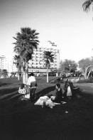 Image of sheet 19960090 photo 24: Junge Familie geniesst Sabbat am Mittelmeer. Israel 1996 √ Mediterran family jewish young