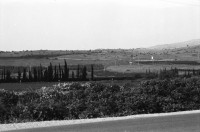 Image of sheet 19960120 photo 10: Dan Maas Portrait arabische Stadt in IsraelWasserkanal Landwirtschaft Kuhherde auf Weide Olivenbäume alte In der  Sockenfabrick arbeiten PalästinenserInnen (in Kibbutz) Israel Palestine 1996

Its fruit, also called the olive, is of major agricultural importance in the Mediterranean region as the source of olive oil. The tree and its fruit give its name to the plant family, which also includes species such as lilacs, jasmine, Forsythia and the true ash trees (Fraxinus). The word derives from Latin olīva which is cognate with the Greek ἐλαία (elaía) ultimately from Mycenaean Greek e-ra-wa ("elaiva"), attested in Linear B syllabic script. The word "oil" in multiple languages ultimately derives from the name of this tree and its fruit.

Eine Palästinenserin arbeitet in der Sockenfabrik des Kibbutz Yasuur.Israel 01.96
1996 √
A Palestinian woman works in the sock factory. work woman

Yas'ur (Hebrew: יַסְעוּר, lit. petrel) is a kibbutz in northern Israel. Located east of Acre in the Western Galilee, it falls under the jurisdiction of Mateh Asher Regional Council. In 2006 it had a population of 287.

The kibbutz was established in 1949 by immigrants from England and Hungary who were members of the Zionist Socialist youth movement Hashomer Hatzair