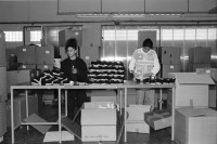 Image of sheet 19960120 photo 22: Dan Maas Portrait arabische Stadt in IsraelWasserkanal Landwirtschaft Kuhherde auf Weide Olivenbäume alte In der  Sockenfabrick arbeiten PalästinenserInnen (in Kibbutz) Israel Palestine 1996

Its fruit, also called the olive, is of major agricultural importance in the Mediterranean region as the source of olive oil. The tree and its fruit give its name to the plant family, which also includes species such as lilacs, jasmine, Forsythia and the true ash trees (Fraxinus). The word derives from Latin olīva which is cognate with the Greek ἐλαία (elaía) ultimately from Mycenaean Greek e-ra-wa ("elaiva"), attested in Linear B syllabic script. The word "oil" in multiple languages ultimately derives from the name of this tree and its fruit.

Eine Palästinenserin arbeitet in der Sockenfabrik des Kibbutz Yasuur.Israel 01.96
1996 √
A Palestinian woman works in the sock factory. work woman

Yas'ur (Hebrew: יַסְעוּר, lit. petrel) is a kibbutz in northern Israel. Located east of Acre in the Western Galilee, it falls under the jurisdiction of Mateh Asher Regional Council. In 2006 it had a population of 287.

The kibbutz was established in 1949 by immigrants from England and Hungary who were members of the Zionist Socialist youth movement Hashomer Hatzair