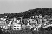 Image of sheet 19960120 photo 4: Dan Maas Portrait arabische Stadt in IsraelWasserkanal Landwirtschaft Kuhherde auf Weide Olivenbäume alte In der  Sockenfabrick arbeiten PalästinenserInnen (in Kibbutz) Israel Palestine 1996

Its fruit, also called the olive, is of major agricultural importance in the Mediterranean region as the source of olive oil. The tree and its fruit give its name to the plant family, which also includes species such as lilacs, jasmine, Forsythia and the true ash trees (Fraxinus). The word derives from Latin olīva which is cognate with the Greek ἐλαία (elaía) ultimately from Mycenaean Greek e-ra-wa ("elaiva"), attested in Linear B syllabic script. The word "oil" in multiple languages ultimately derives from the name of this tree and its fruit.

Eine Palästinenserin arbeitet in der Sockenfabrik des Kibbutz Yasuur.Israel 01.96
1996 √
A Palestinian woman works in the sock factory. work woman

Yas'ur (Hebrew: יַסְעוּר, lit. petrel) is a kibbutz in northern Israel. Located east of Acre in the Western Galilee, it falls under the jurisdiction of Mateh Asher Regional Council. In 2006 it had a population of 287.

The kibbutz was established in 1949 by immigrants from England and Hungary who were members of the Zionist Socialist youth movement Hashomer Hatzair