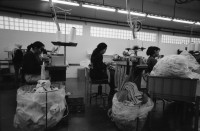 Image of sheet 19960140 photo 1: frtsg. Yasuur Sockenfabrik Palästinenser Innen Familie im Kibbutz Afula Sav-Yom Rentner Innen lesen Heine's Shabbat   Kurdischer Jude beim basteln im Altersclub. Altersheim senior clinic Gruppenbild (mit meiner Photographie vor zwei Jahren) Israel 1996 Palestine retired foyer