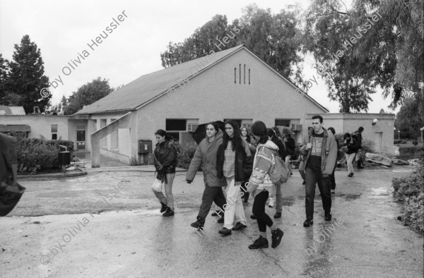 Image of sheet 19960160 photo 37: Danny Wieler Portrait Givat Haviva arabisch Stunden für Israelische Studentinnen Im Speisesaal Jugendliche gemischt arabisch und jüdische. Israel 1996