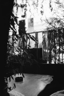 Image of sheet 19960181 photo 13: bis 4 Regenschauer aus Fahrzeug in Tel Aviv Im Restaurant in Freiburg Feier und Akt für 10 Jahre Tod von Yvan Leyvraz Maurice Demierre Berndt Koberstein und Yoel Fieux Mutter Nr. 20-23 Schweiz 1996