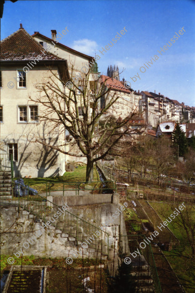 Image of sheet 19960190 photo 34: Olivia Heussler und Polin Sergio Valdivia Salinas mit Ruth Guggenheim im Restaurant. Portrait unbekannte Leute sitzen in der Herbstsonne am Utoquai Mann schläft auf Bank mit offenem Mund ein Mann mit rotem Koffer geht vorbei. September 1995 Romainmôtier: Charles Henri Favrod Portrait Februar 1996 Thomas Ricklin und Eva Heimgärtner in und vor Ihrem neuen Heim  in  Fribourg. Freiburg Switzerland Suisse