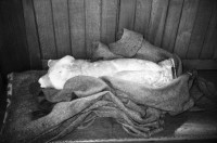 Image of sheet 19960220 photo 14: Stadthaus Ausstellung Alis Guggenheim 1896-1958 Zürich Art Kunst Zürich