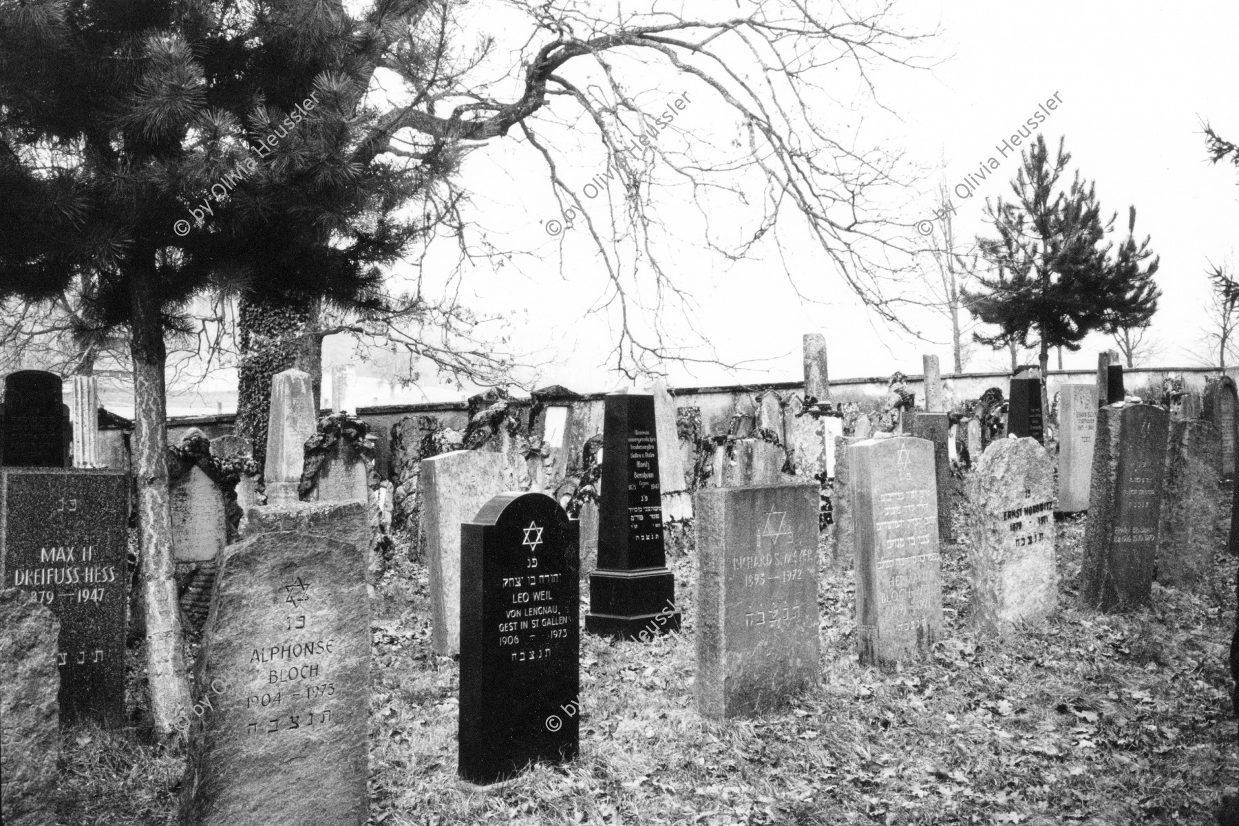 Image of sheet 19960230 photo 11: Grabsteine auf dem jüdischen Friedhof in Lengnau. Aargau Schweiz Switzerland Europe 03. 1996 √
Grave stones Jewish cemetery in Lengnau.