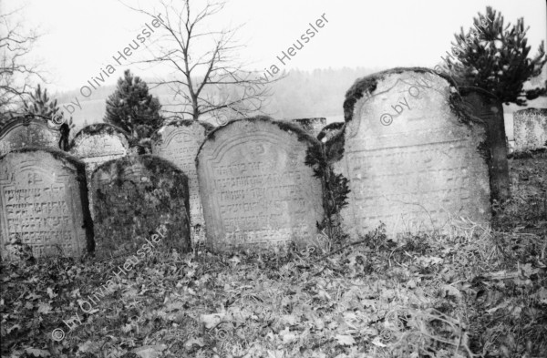 Image of sheet 19960230 photo 27: m jüdischen Friedhof Lengnau; die Kanton Aargau