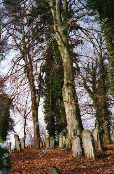 Image of sheet 19960240 photo 18: Besuch jüdischer Friedhof Lengnau Kanton Aargau, Switzerland 1996 jewish 
grave grab cementery