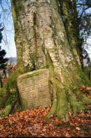 Image of sheet 19960240 photo 4: Besuch jüdischer Friedhof Lengnau Kanton Aargau, 
grave grab cementery