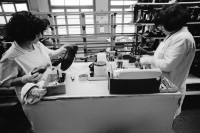 Image of sheet 19960330 photo 3: Schuhfabrik Bally Stabio Kanton Tessin Svizzera
Canton Ticino Switzerland 1996
women work shoes shoefabric
AEHMO √ © 1996, Olivia Heussler