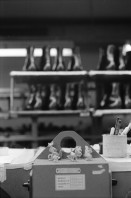 Image of sheet 19960330 photo 31: Schuhfabrik Bally Stabio Kanton Tessin Svizzera
Canton Ticino Switzerland 1996
women work shoes shoefabric
AEHMO √ © 1996, Olivia Heussler