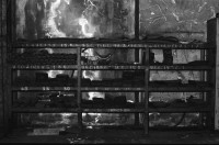 Image of sheet 19960380 photo 1: Velowerkstatt Transfer SAH  Felix Lutz Tel 091 864 29 29 Gabriele Cieslakiewicz
Abbruch und Entsorgung der Metallfabrik Monteforno Stahlwerk der Von Roll
Acciaierie e Laminatoi SA, Metallwerke Monteforno, war ein Stahlwerk mit Sitz in Bodio im Schweizer Kanton Tessin Svizzera Schweiz Switzerland Leventina
Out of: 
Schichtwechsel, Rotpunktverlag 
Jour ouvrable , Edition d'en bas
Per chi suona la sirena, Editione Casagrande
SMUV UNIA