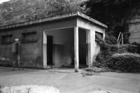 Image of sheet 19960390 photo 4: xx