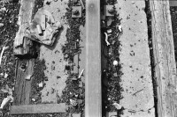 Image of sheet 19960390 photo 7: xx