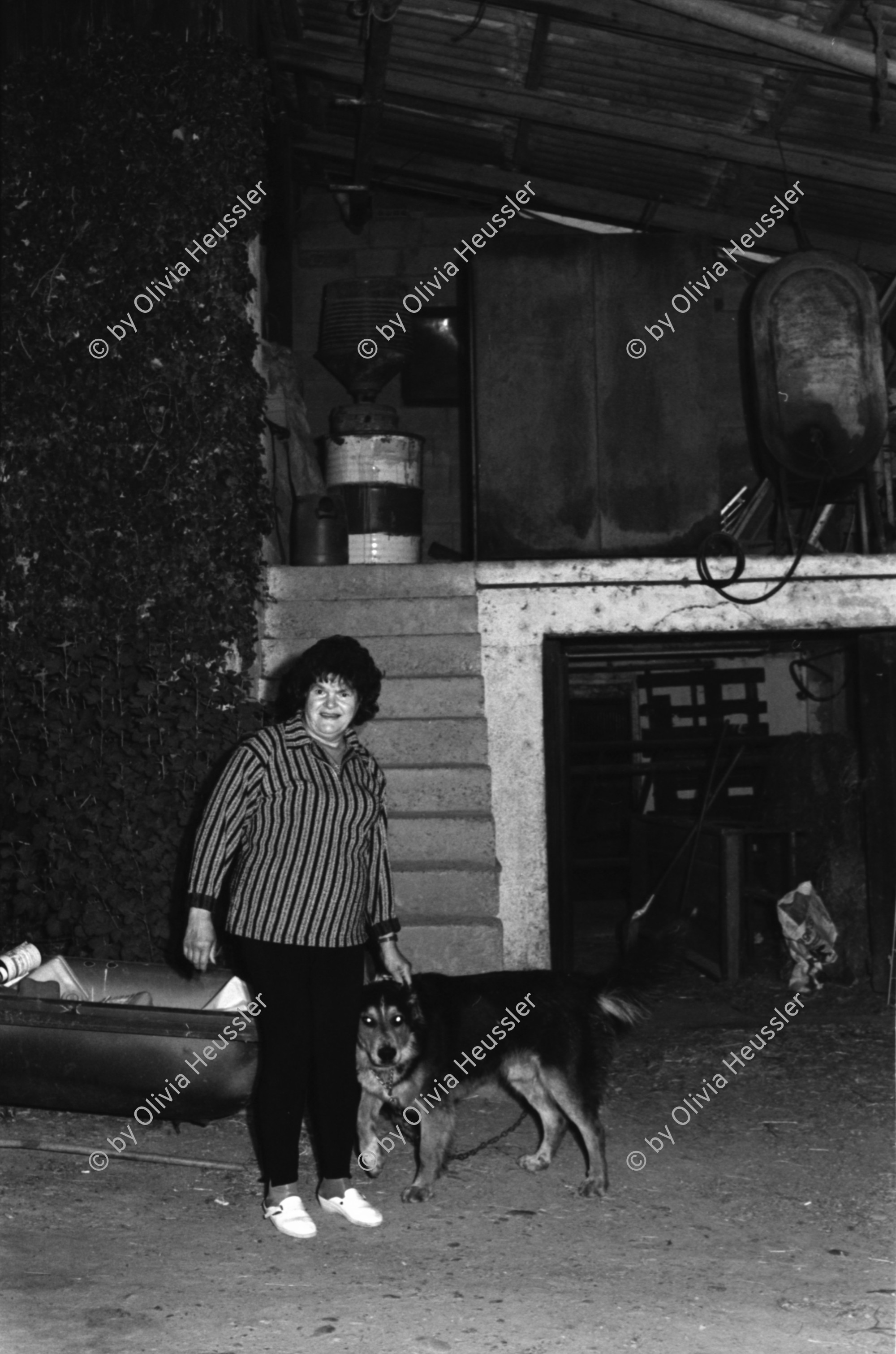 Image of sheet 19960500 photo 20: Portrait Jaqueline Vogt, Frankreich 1996.