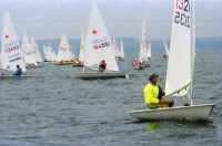 Image of sheet 19960540 photo 18: xx