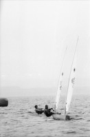 Image of sheet 19960541 photo 34: xx