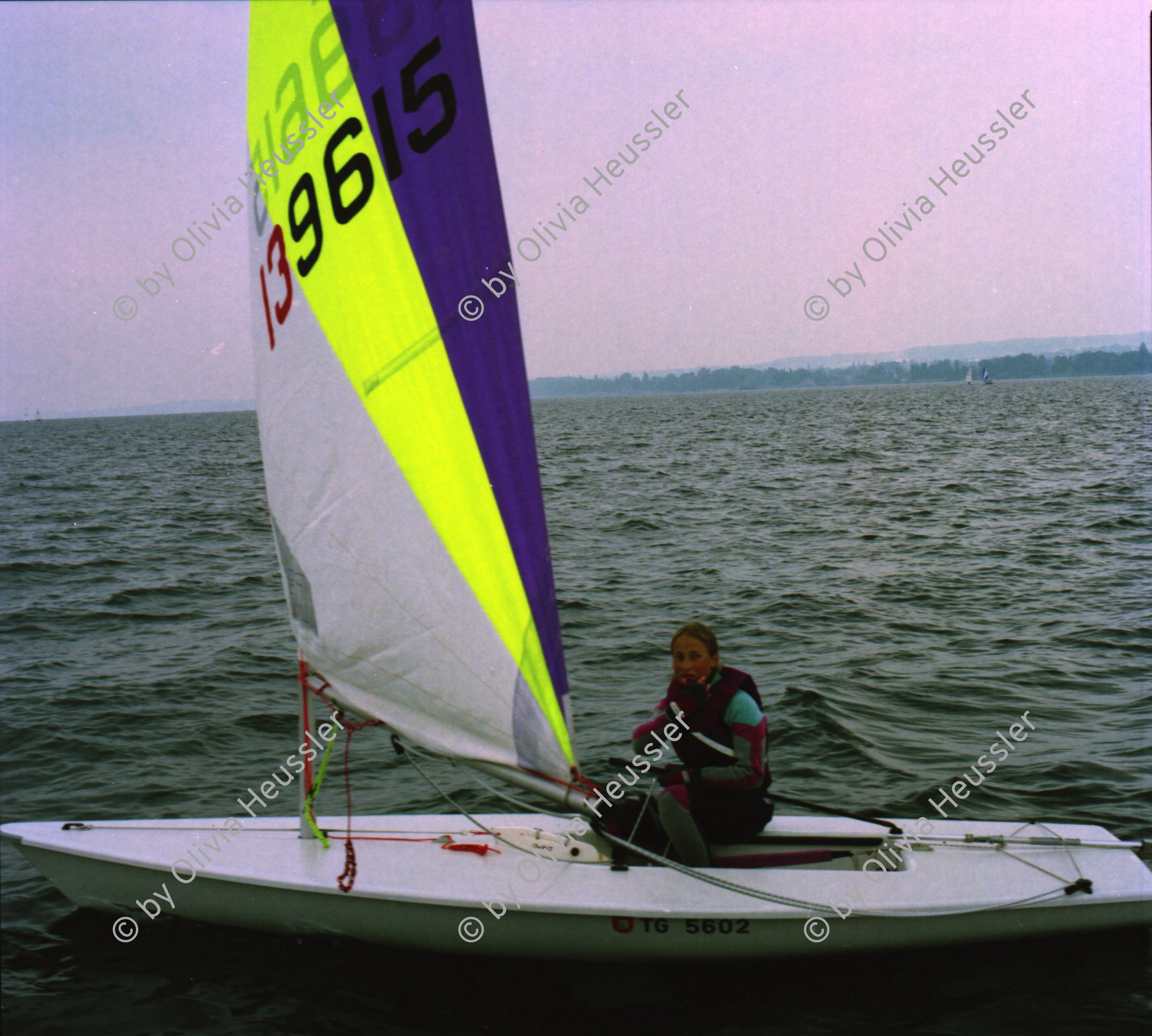 Image of sheet 19960550 photo 8: xx