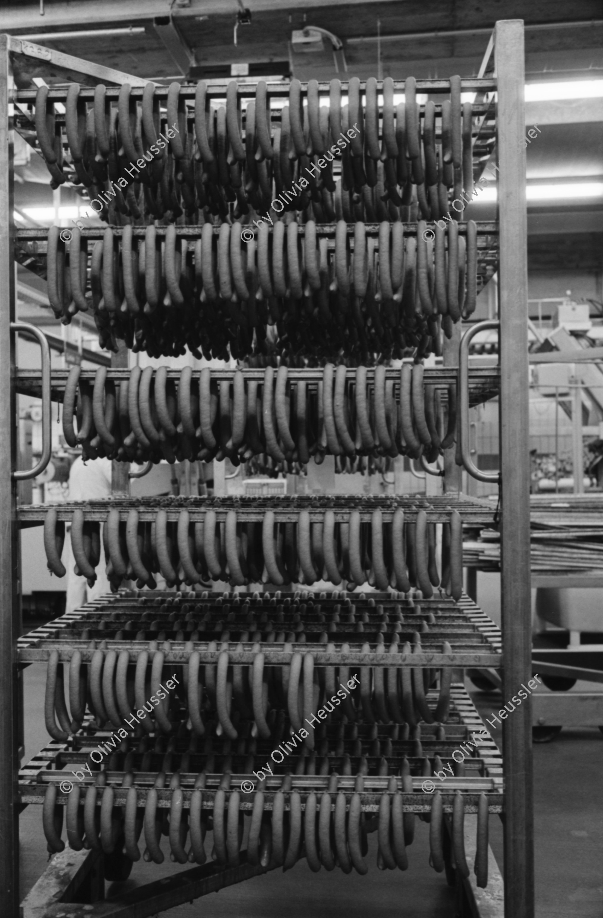 Image of sheet 19960580 photo 23: F
