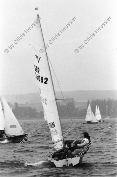 Image of sheet 19960590 photo 20: Laser Regatta auf dem Bodensee Segeln Sport für ASVZ Postkarten