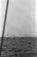 Image of sheet 19960590 photo 23: Laser Regatta auf dem Bodensee Segeln Sport für ASVZ Postkarten