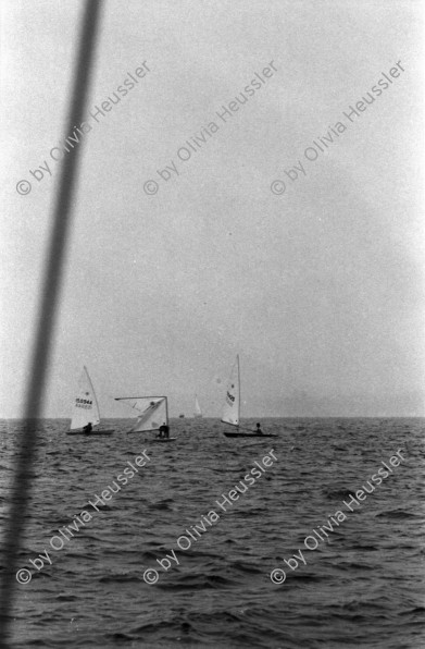 Image of sheet 19960590 photo 23: Laser Regatta auf dem Bodensee Segeln Sport für ASVZ Postkarten