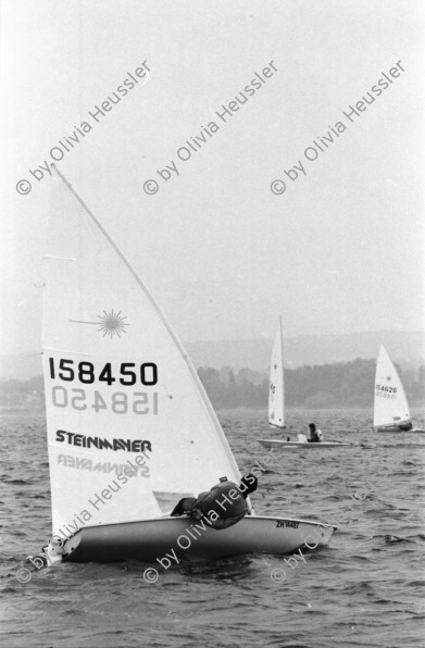 Image of sheet 19960590 photo 29: Laser Regatta auf dem Bodensee Segeln Sport für ASVZ Postkarten