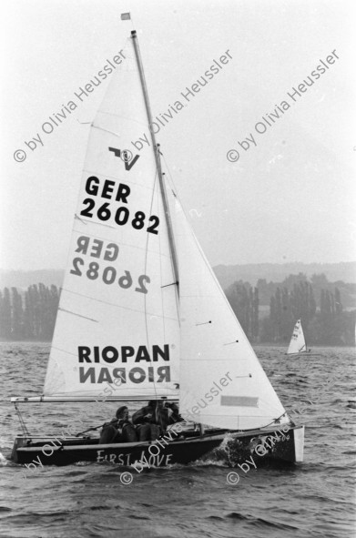 Image of sheet 19960590 photo 30: Laser Regatta auf dem Bodensee Segeln Sport für ASVZ Postkarten