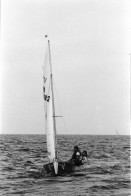 Image of sheet 19960590 photo 34: Laser Regatta auf dem Bodensee Segeln Sport für ASVZ Postkarten