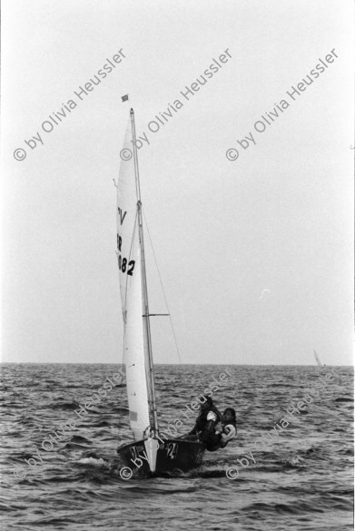 Image of sheet 19960590 photo 34: Laser Regatta auf dem Bodensee Segeln Sport für ASVZ Postkarten