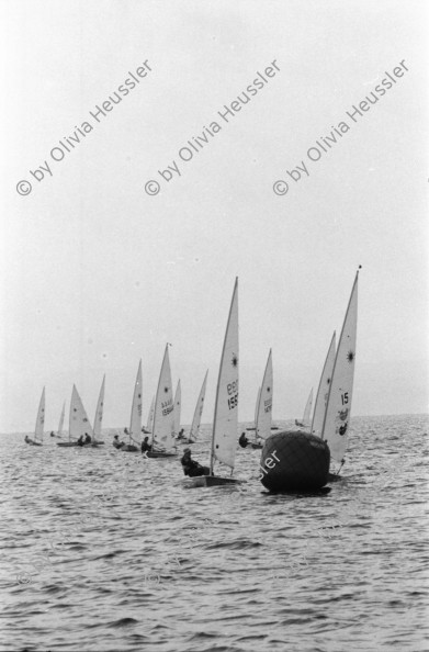 Image of sheet 19960600 photo 10: Laser Regatta auf dem Bodensee Segeln Sport für ASVZ Postkarten