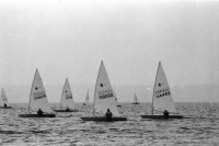 Image of sheet 19960600 photo 5: Laser Regatta auf dem Bodensee Segeln Sport für ASVZ Postkarten