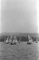 Image of sheet 19960610 photo 20: Laser Regatta auf dem Bodensee Segeln boot