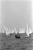 Image of sheet 19960610 photo 35: Laser Regatta auf dem Bodensee Segeln boot