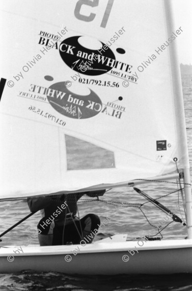 Image of sheet 19960620 photo 22: Laser segeln Segelboot auf dem Bodensee