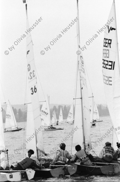 Image of sheet 19960620 photo 28: Laser segeln Segelboot auf dem Bodensee