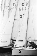 Image of sheet 19960620 photo 31: Laser segeln Segelboot auf dem Bodensee