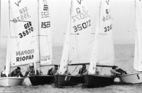 Image of sheet 19960620 photo 36: Laser segeln Segelboot auf dem Bodensee