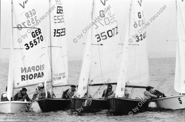 Image of sheet 19960620 photo 36: Laser segeln Segelboot auf dem Bodensee