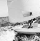 Image of sheet 19960660 photo 2: Laser Segeln auf dem Bodensee Segelboot