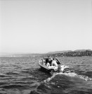 Image of sheet 19960660 photo 5: Laser Segeln auf dem Bodensee Segelboot
