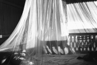 Image of sheet 19960850 photo 31: america central sea view balcony bed net moscito 

ohne Aufkleber 
18 x 24 cm baryt signiert Tanja Dreiding 2019
Shadows and other Natures