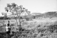 Image of sheet 19960860 photo 12: Esteli segovias Nueva Segovia Nicaragua 1996